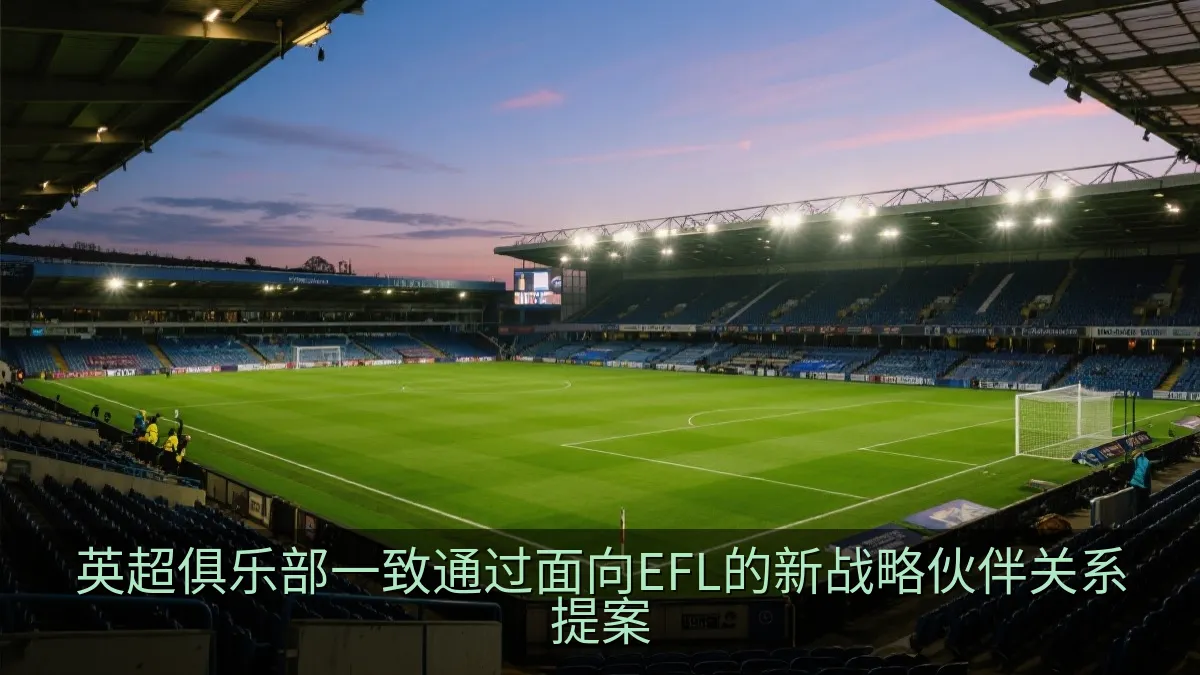 英超俱乐部一致通过面向EFL的新战略伙伴关系提案
